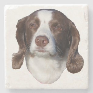 Brown & White Dog stone coasters