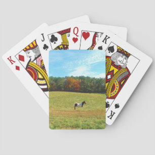 Brown & White horse,autumn trees,blue sky Playing Cards