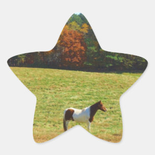 Brown & White horse,autumn trees,blue sky Star Sticker