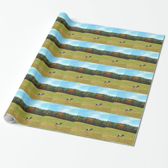 Brown & White horse,autumn trees,blue sky Wrapping Paper (Unrolled)