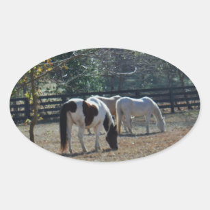Brown &White Painted Horse and Cream Horse Oval Sticker