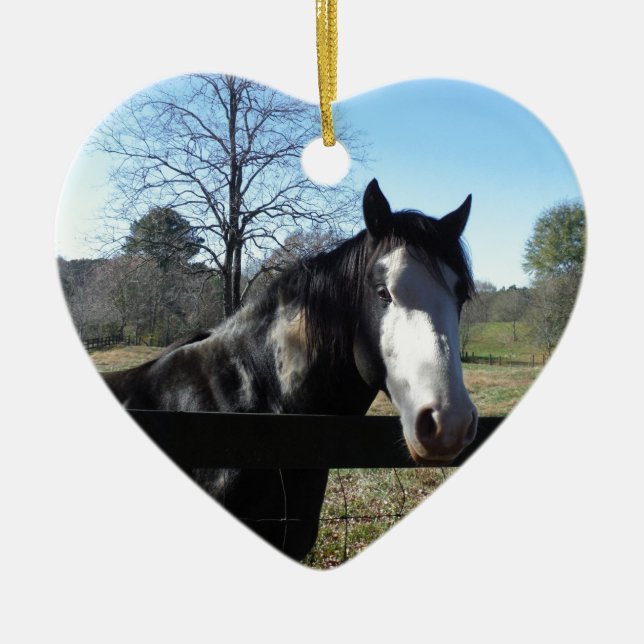 Brown &White, Painted Horse, bright blue sky Ceramic Tree Decoration (Front)