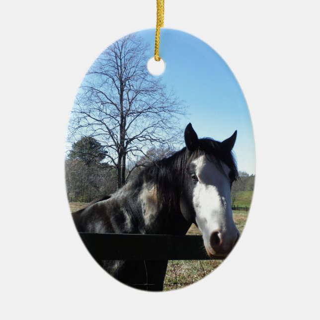 Brown &White, Painted Horse, bright blue sky Ceramic Tree Decoration (Front)