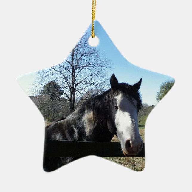 Brown &White, Painted Horse, bright blue sky Ceramic Tree Decoration (Front)