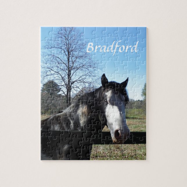 Brown &White, Painted Horse, bright blue sky Jigsaw Puzzle (Vertical)