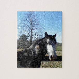 Brown &White, Painted Horse, bright blue sky Jigsaw Puzzle