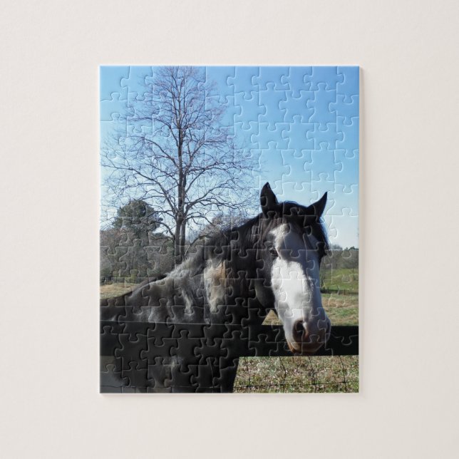 Brown &White, Painted Horse, bright blue sky Jigsaw Puzzle (Vertical)