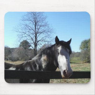 Brown &White, Painted Horse, bright blue sky Mouse Mat