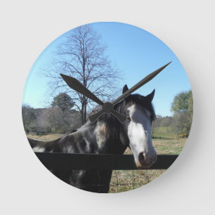 Brown &White, Painted Horse, bright blue sky Round Clock