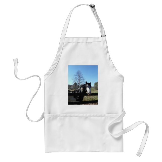 Brown &White, Painted Horse, bright blue sky Standard Apron (Front)