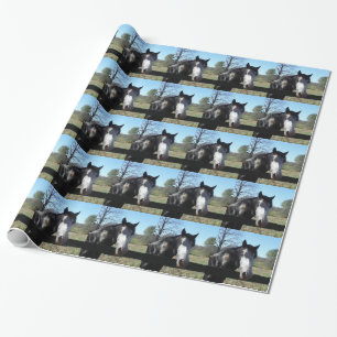 Brown &White, Painted Horse, bright blue sky Wrapping Paper