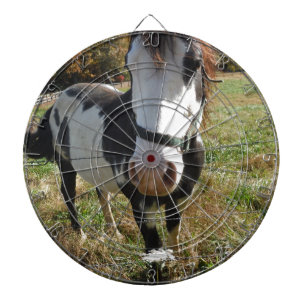 Brown &White, Painted Horse, Queen Ann Lace flower Dartboard