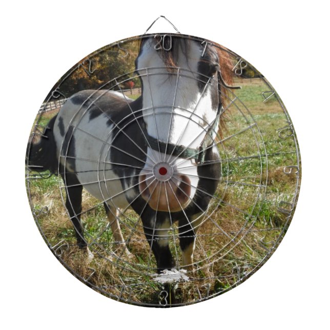 Brown &White, Painted Horse, Queen Ann Lace flower Dartboard (Front)