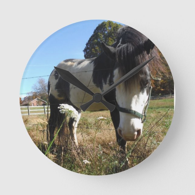 Brown &White, Painted Horse, Queen Ann Lace flower Round Clock (Front)
