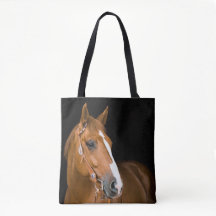 Brown White Quarter-Horse Photo