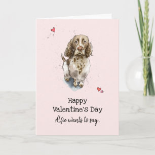 Brown & white Springer Spaniel dog Valentine’s day Card