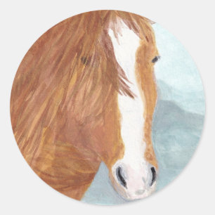 Brown Wild Horse Blue Mountain Lake - acrylic. Classic Round Sticker
