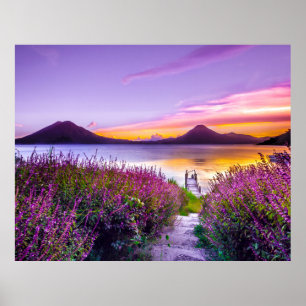 brown wooden dock between lavender flower field poster