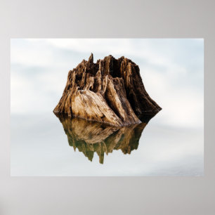 BROWN WOODEN FRAME POSTER