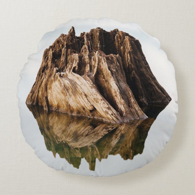 BROWN WOODEN FRAME ROUND CUSHION (Front)