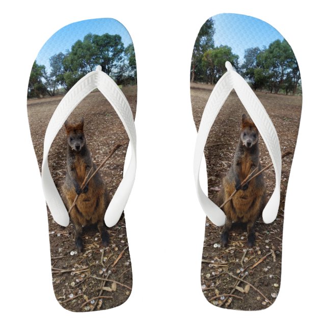 Brown Young Australian Wallaby Eating A Stick,  Flip Flops (Footbed)