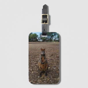 Brown Young Australian Wallaby Eating A Stick, Luggage Tag