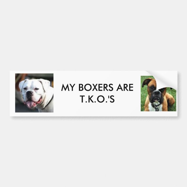 brownboxer, WHITE BOXER FACE, MY BOXERS ARE T.K... Bumper Sticker (Front)