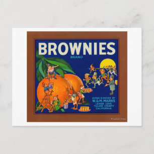 Brownies Brand Citrus Crate Label Postcard