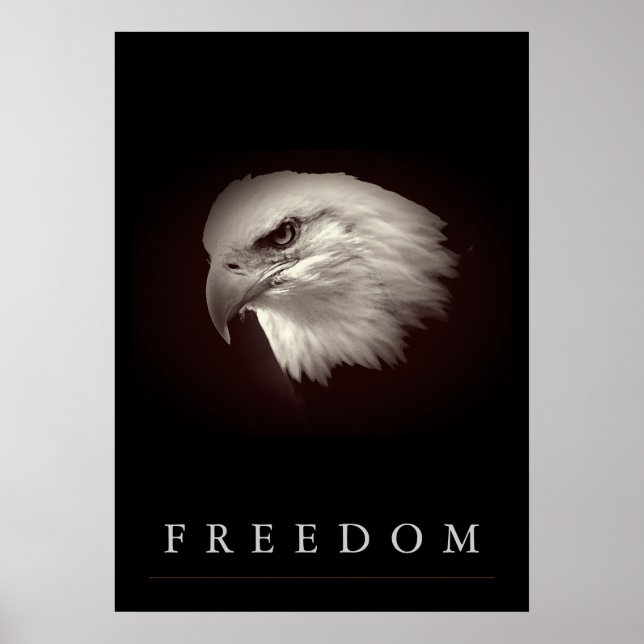 Brownish Freedom American Eagle Face Patriotic Poster (Front)