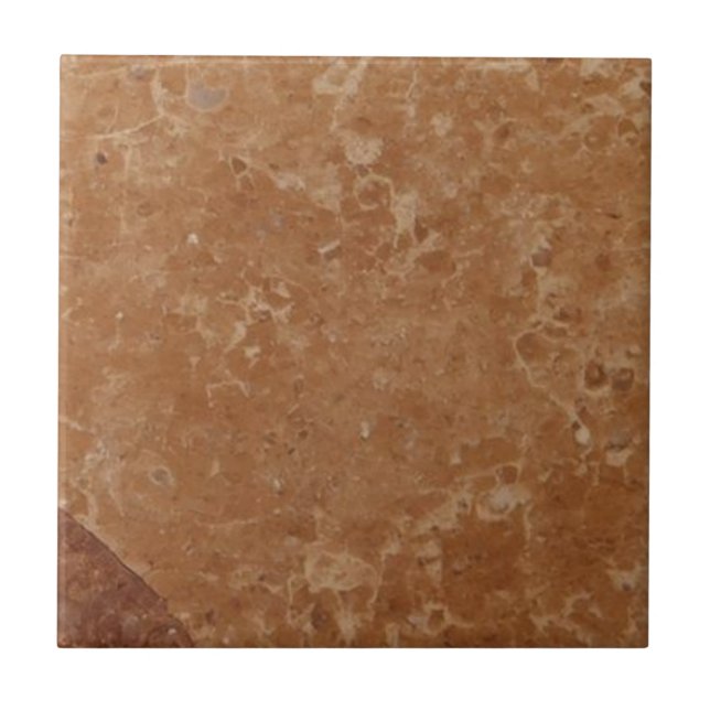 Brownstone vintage rustic simple rustic print  tile (Front)