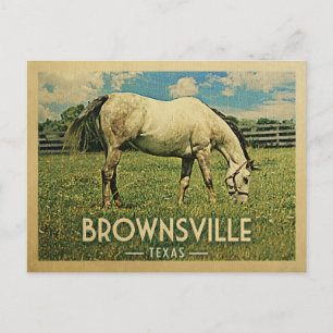 Brownsville Texas Horse Farm -Vintage Travel Postcard