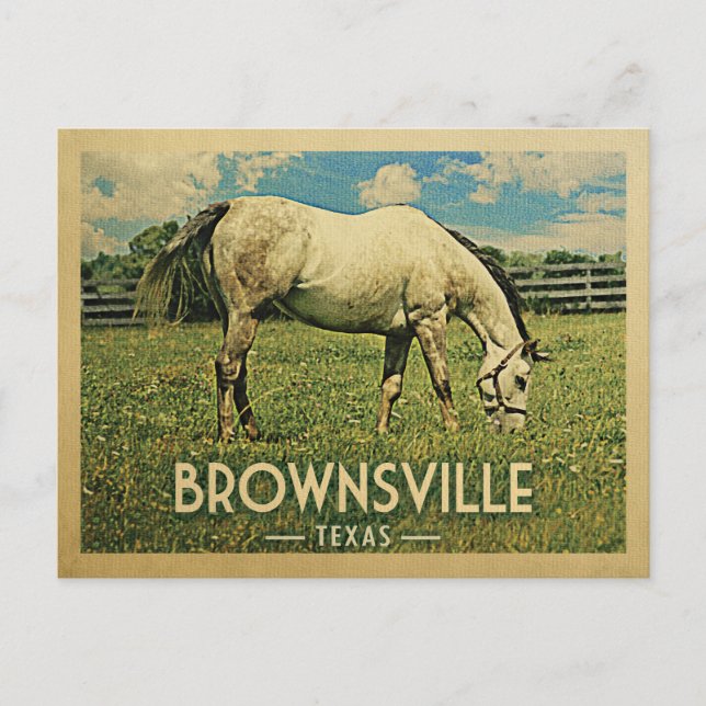 Brownsville Texas Horse Farm -Vintage Travel Postcard (Front)