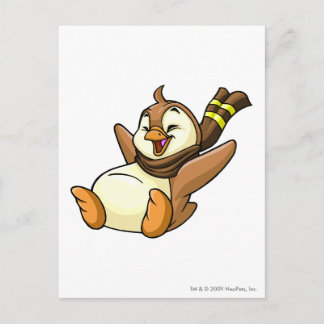 Bruce Brown Postcard
