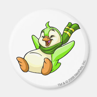 Bruce Green Magnet