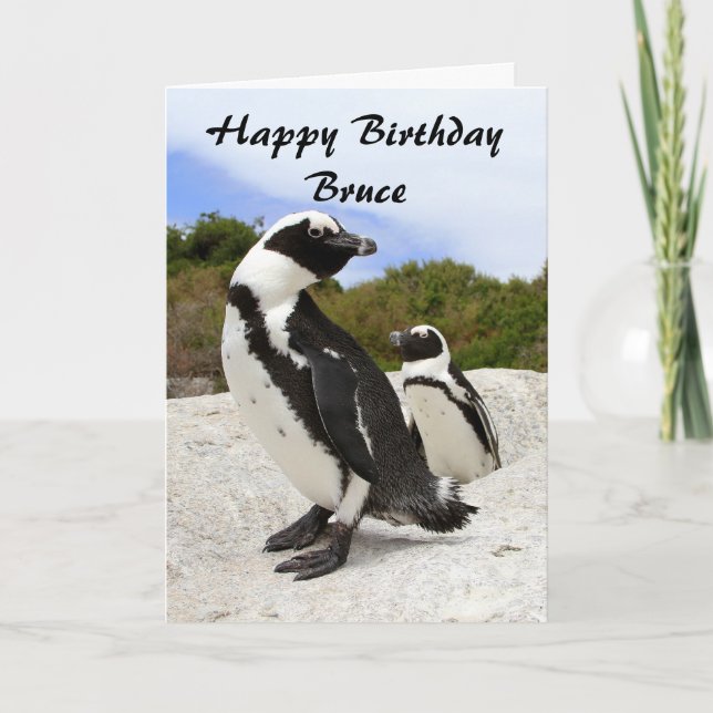 Bruce Happy Birthday African Penguins Humour Card (Front)
