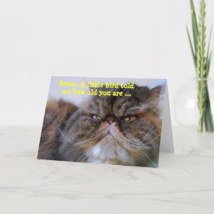 Bruce Happy Birthday Humour Calico Persian Kitty Card
