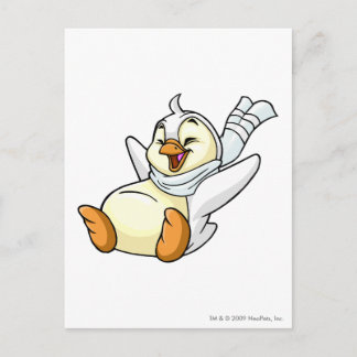 Bruce White Postcard