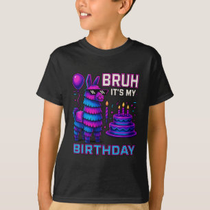 Bruh It’s My Birthday Funny Llama Pinata Bday Boy  T-Shirt
