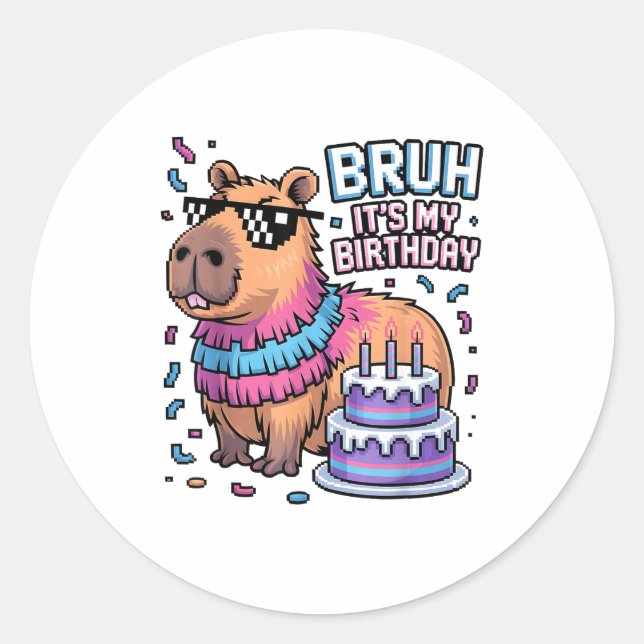 Bruh It's My Birthday Capybara Nata Boy Girl Birth Classic Round Sticker (Front)