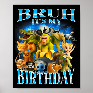 Bruh It's My Birthday Funny Brainrot Poster