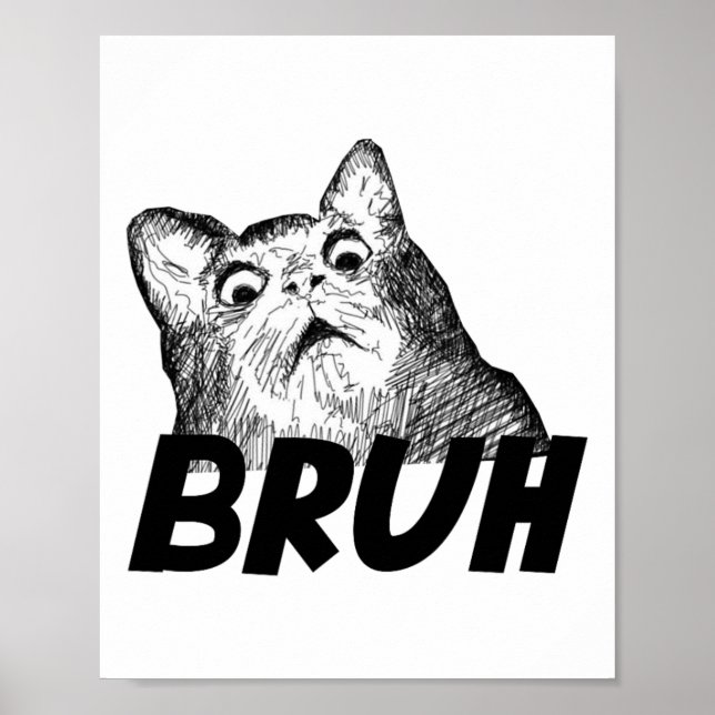 Bruh Shocked Gasp Cat Funny  Poster (Front)
