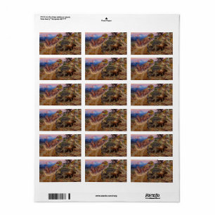 Bruin Not Bunny Turned the Leaders,1924 by Russell Label