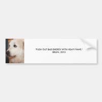 BRUIN: PUSH OUT BAD ENERGY