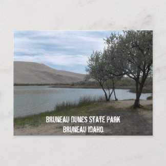 Bruneau Dunes State Park Postcard
