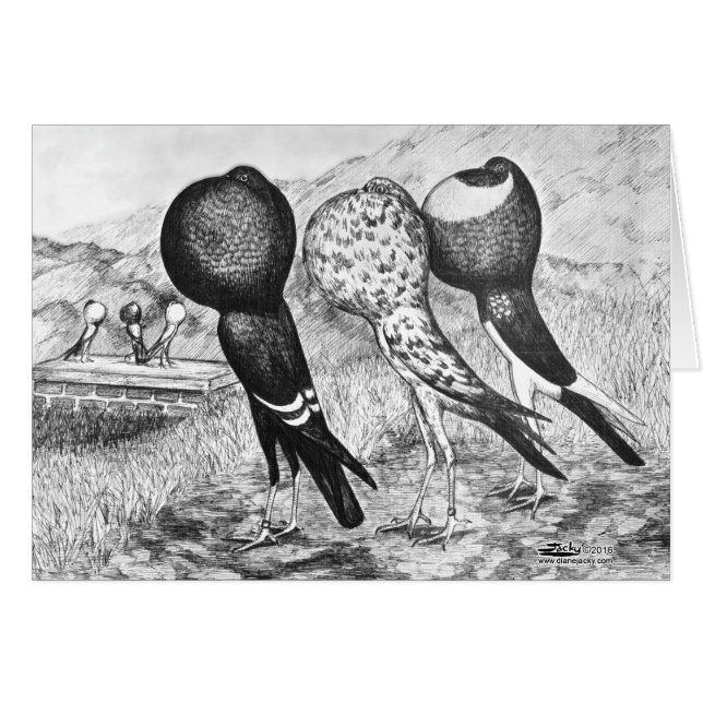 Brunner Pouter Pigeons (Front Horizontal)