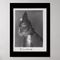 Brunnhilde kitty