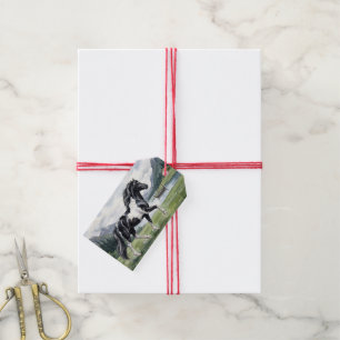 Brunskjottur Black pinto Icelandic Gift Tags