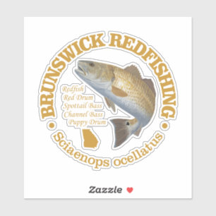 Brunswick GA (redfish)
