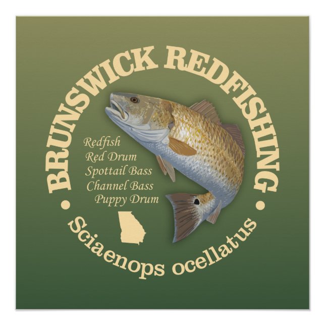 Brunswick GA (redfish) Poster (Front)