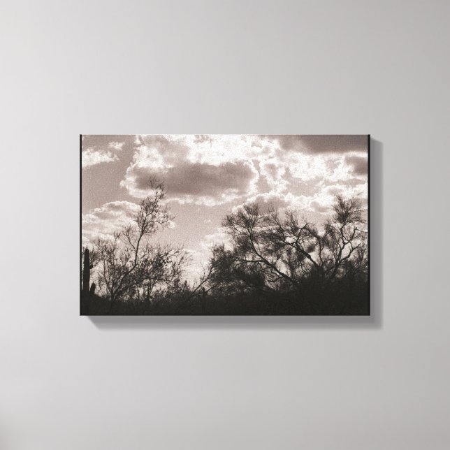 Brush Backlight Canvas (AZ Sonoran Desert) Print (Front)